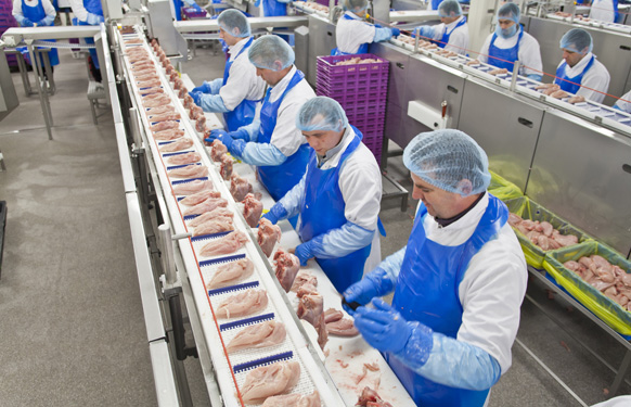 Kip fileren | Heijs Food Products